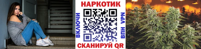 Где продают наркотики Белозерск Гашиш  Конопля  hydra онион  Метадон  Меф мяу мяу  A-PVP 