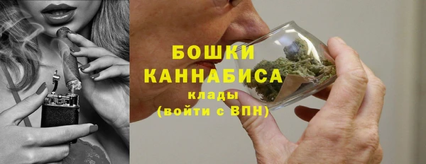 ПСИЛОЦИБИНОВЫЕ ГРИБЫ Белоозёрский