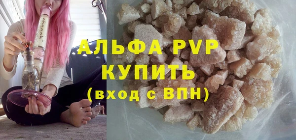 ECSTASY Белокуриха