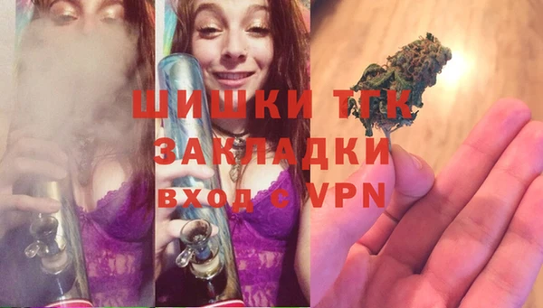 ECSTASY Белокуриха