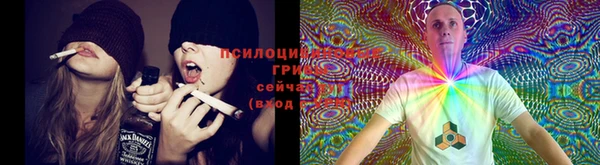 ECSTASY Белокуриха